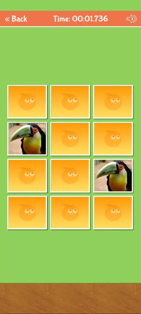 صور Birds Memory Match Game