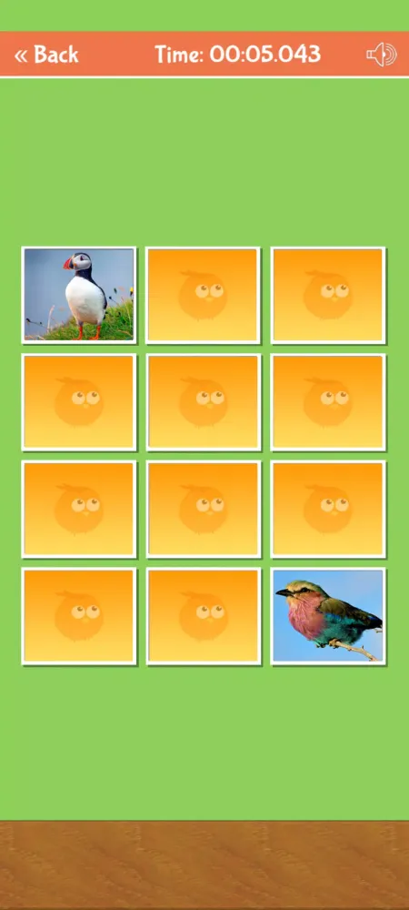 صور Birds Memory Match Game