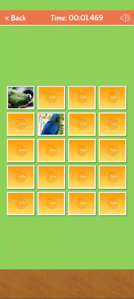 صور Birds Memory Match Game