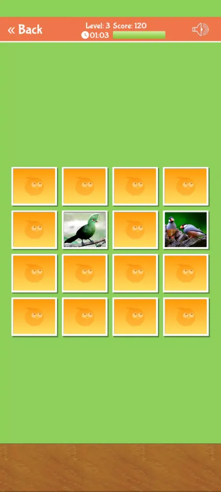 صور Birds Memory Match Game