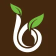 Blu Jam Cafe Online Ordering