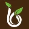 Blu Jam Cafe Online Ordering
