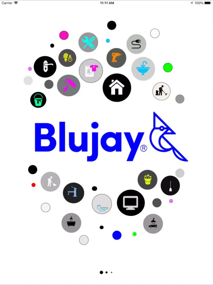 Capturas de pantalla de Blujay iPad 