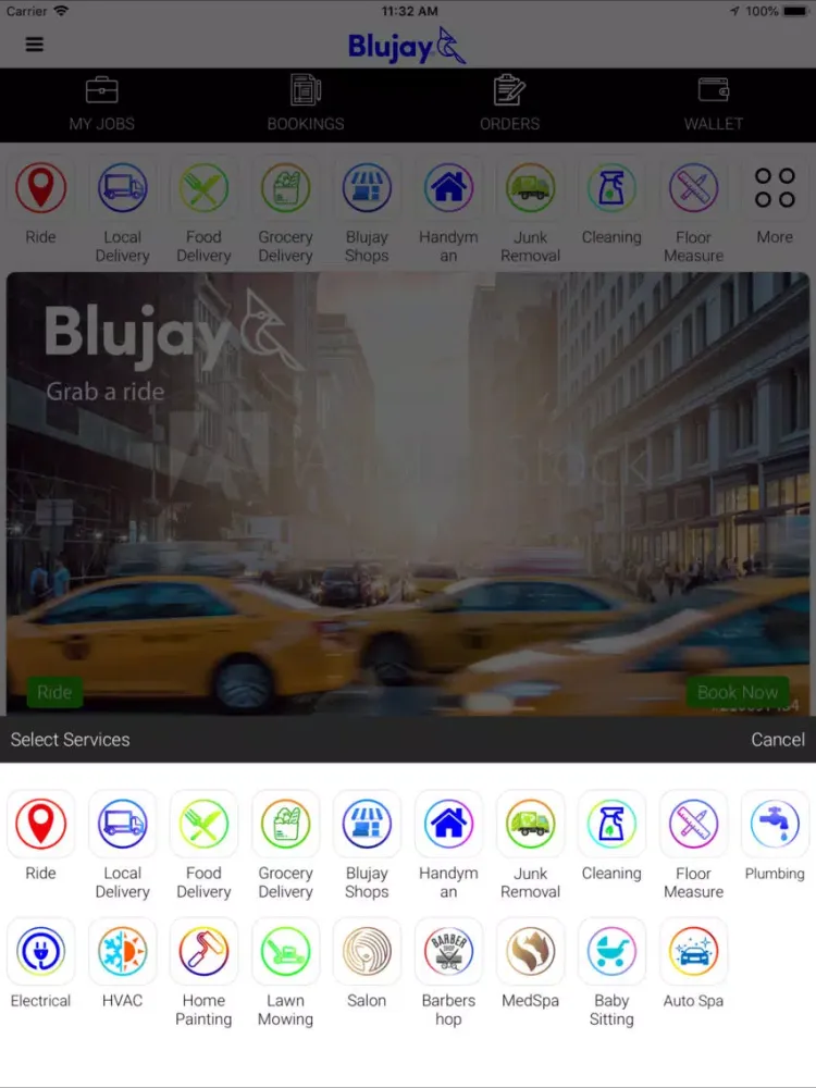 Capturas de pantalla de Blujay iPad 