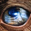 A Dino Shoot Hunter Attack game