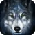 Wild Wolf Slots Pro