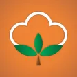 MORO Cotton Calculator