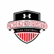 Under The Lights