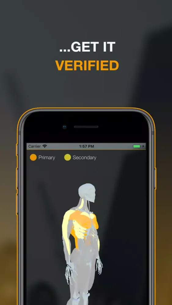 تصاویر Mirin:Verify