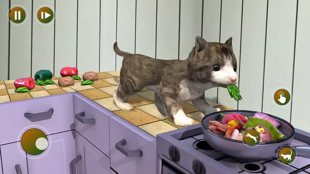 تصاویر Stray Street Cat Simulator 3D