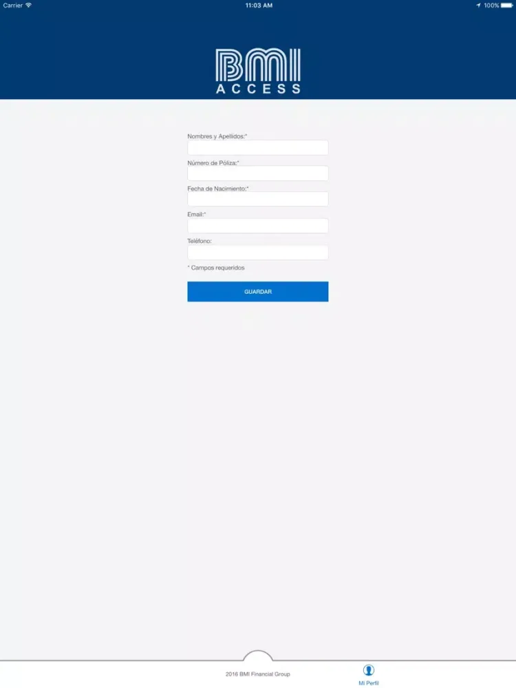 Скриншоты BMI Access iPad 