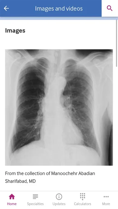 BMJ Best Practice Screenshots