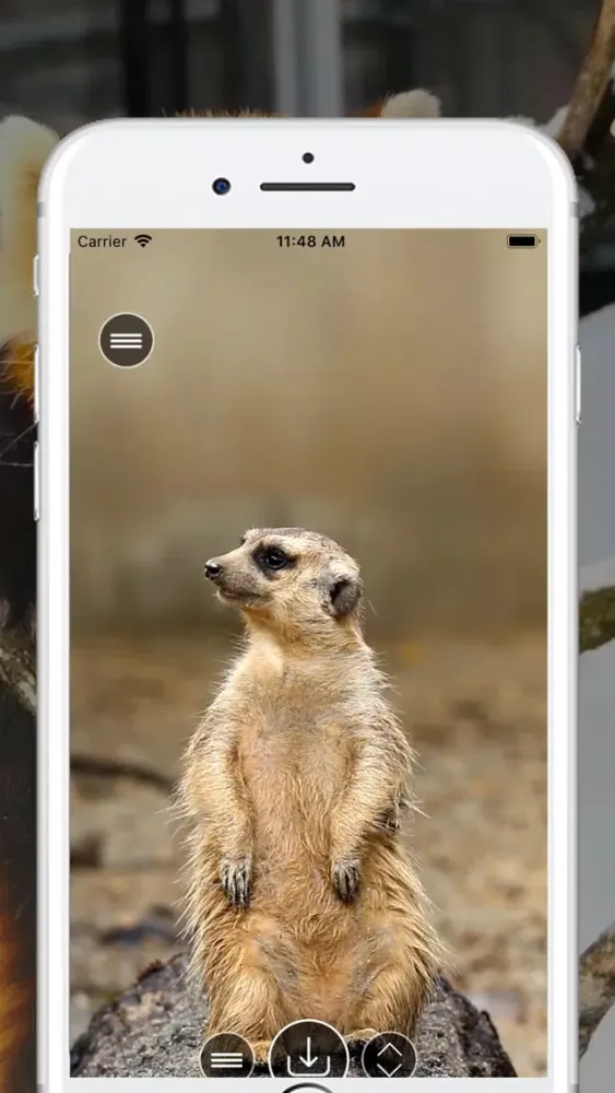 Скриншоты 4K Retina Live Wallpapers