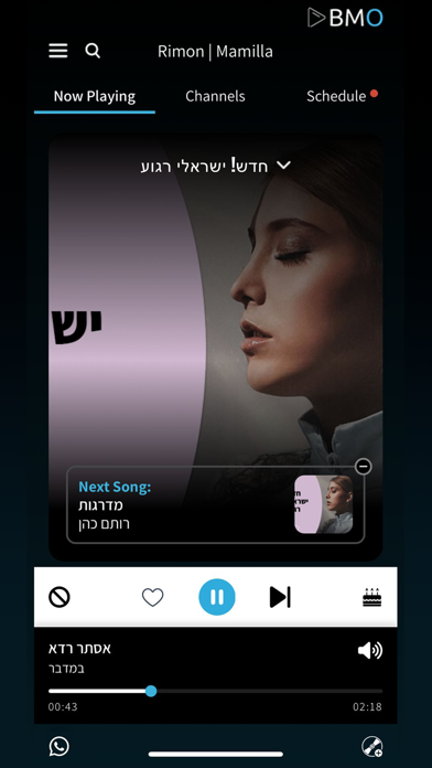 Tangkapan skrin BMO Music Remote Control App