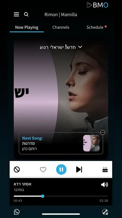 Ảnh chụp màn hình của BMO Music Remote Control App