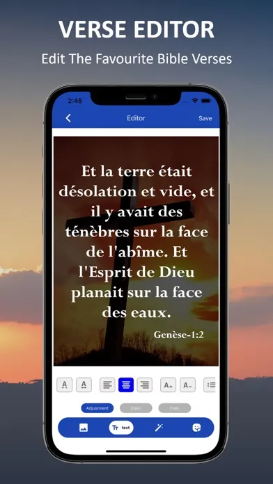 La Bible Du Semeur BDS Screenshots