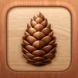 Pines: Tent & RV Camping Guide Pines: Tent & RV Camping Guide