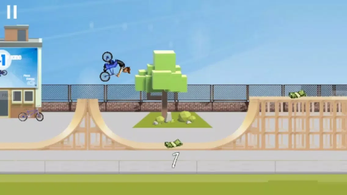 Скриншоты True BMX