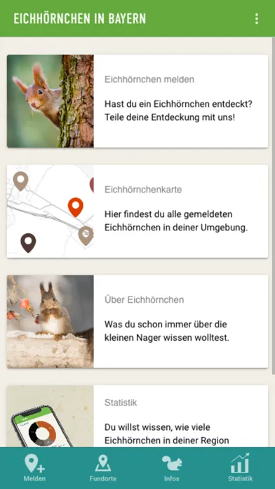 Captures d'écran de Eichhörnchen in Bayern