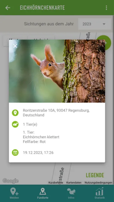 Captures d'écran de Eichhörnchen in Bayern