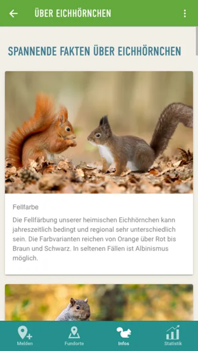 Captures d'écran de Eichhörnchen in Bayern