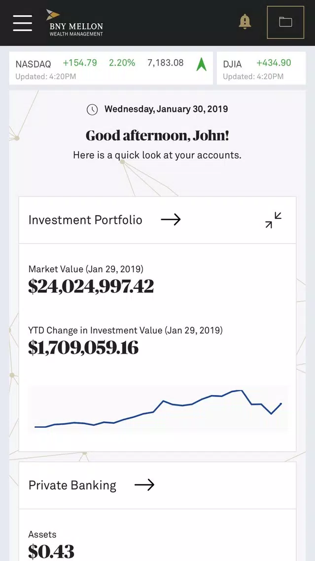 BNY Mellon Wealth Online iPad Screenshots