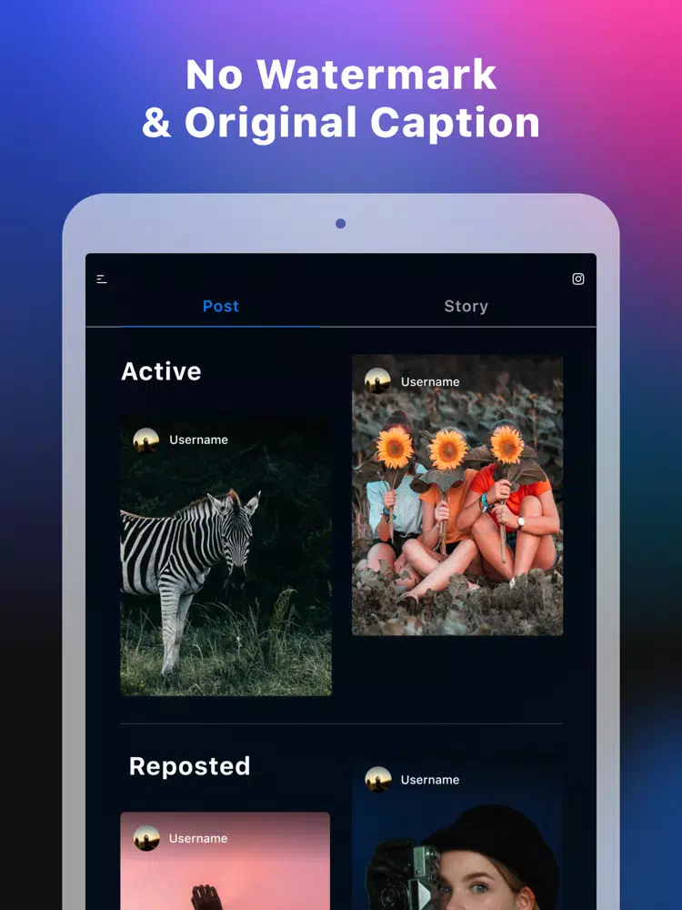 IG Repost - Story&IGTV&Post iPad  Screenshots
