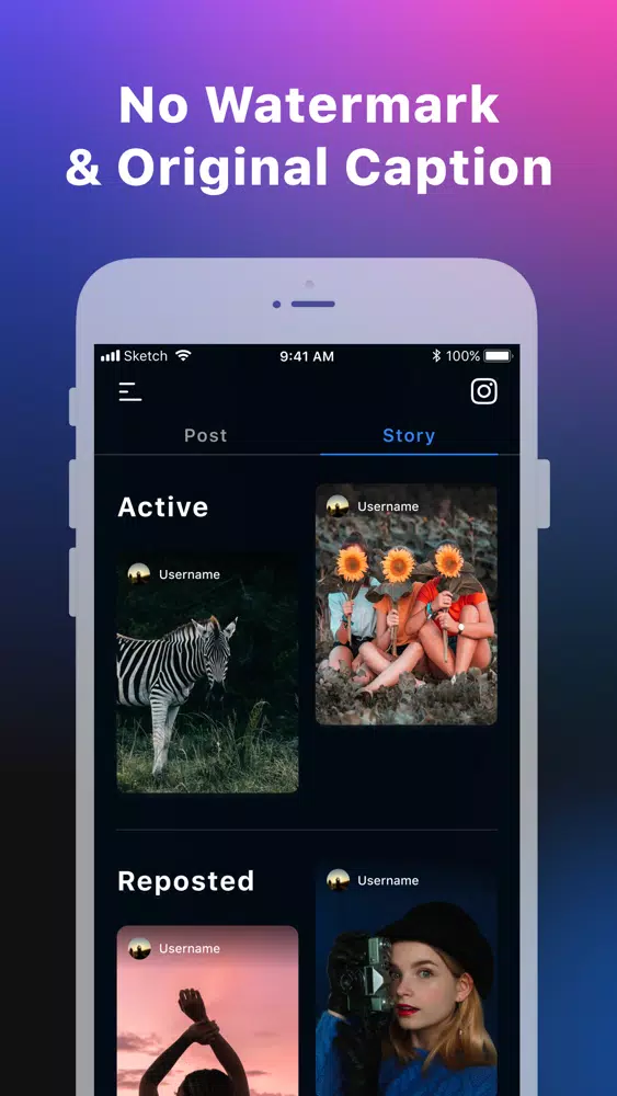 IG Repost - Story&IGTV&Post Screenshots