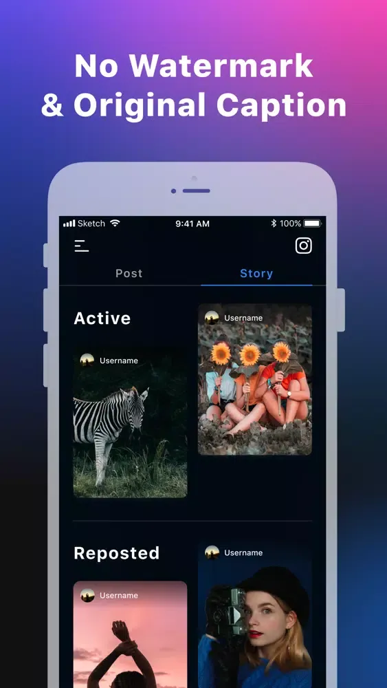 IG Repost - Story&IGTV&Post Screenshots