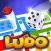 Ludo Master