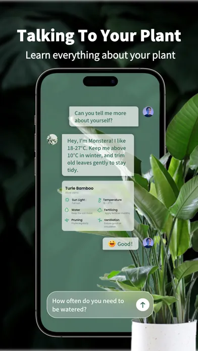 Talking Plant Screenshots