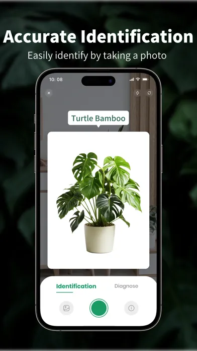 Talking Plant Screenshots