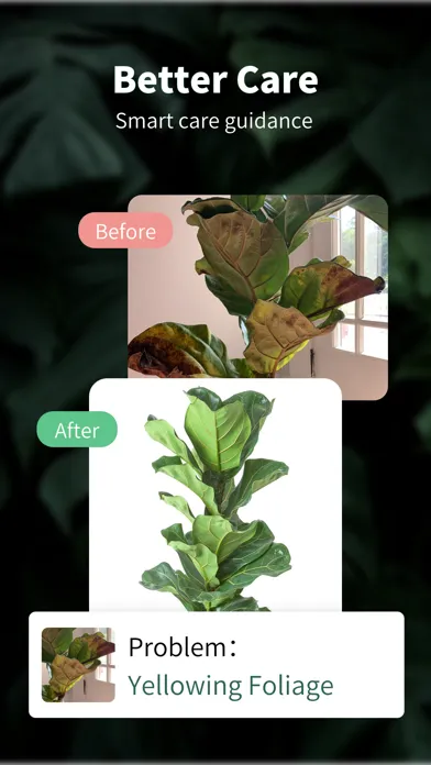 Talking Plant Screenshots
