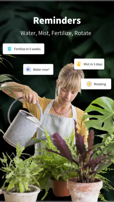 Talking Plant Screenshots