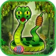 Anaconda Builder Anaconda Builder