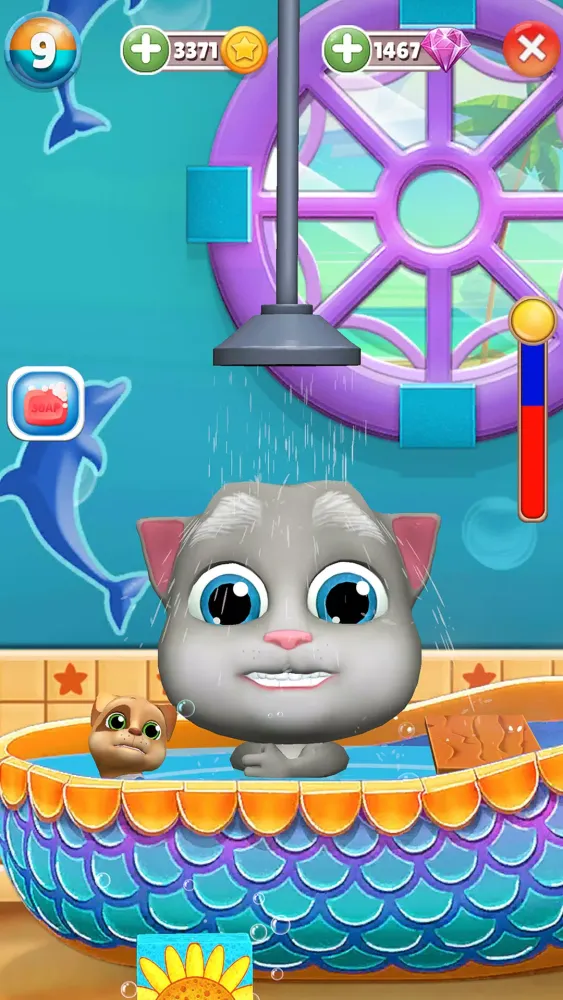 صور Virtual Pet Bob - Funny Cat