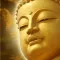 Buddha everyday-Buddhism