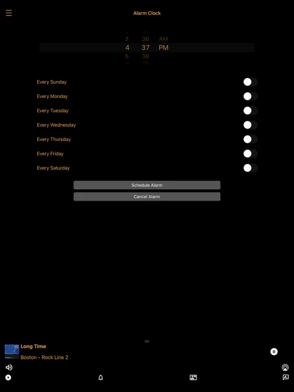 Скриншоты Boca Radio iPad 