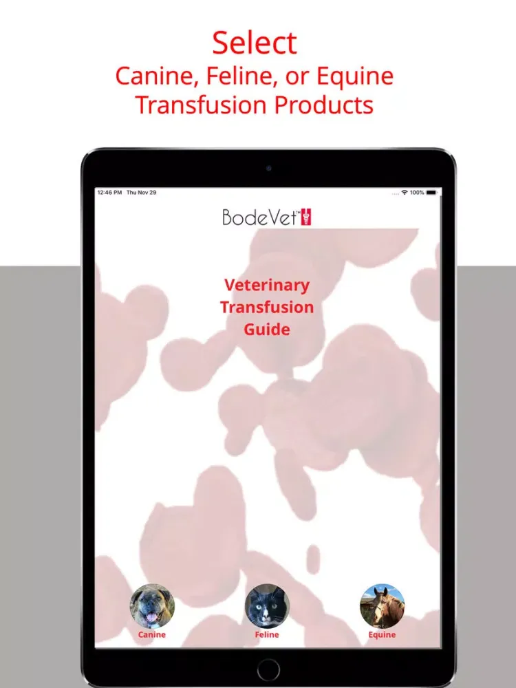 Zrzuty ekranu Veterinary Transfusion Guide iPad 