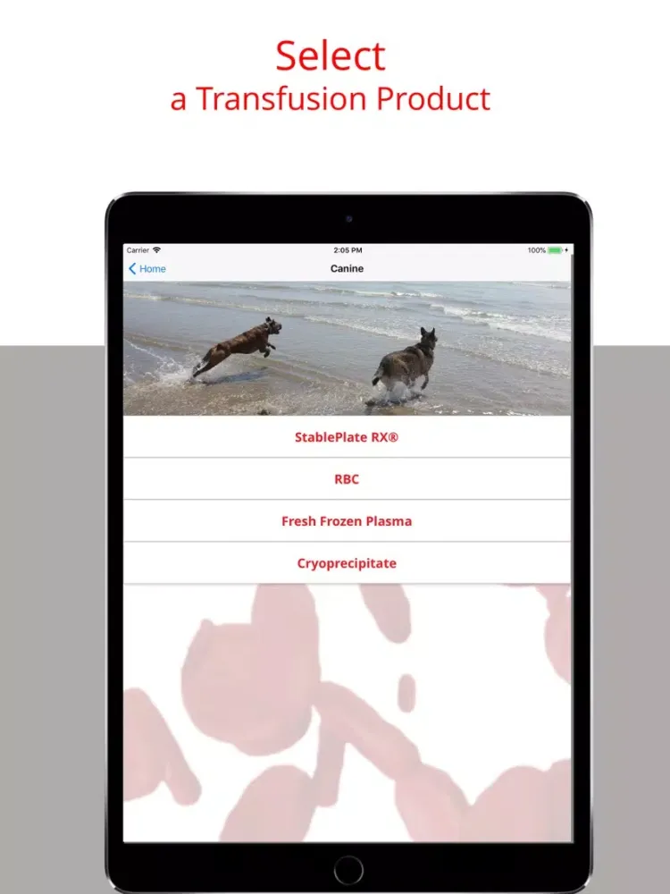 Zrzuty ekranu Veterinary Transfusion Guide iPad 