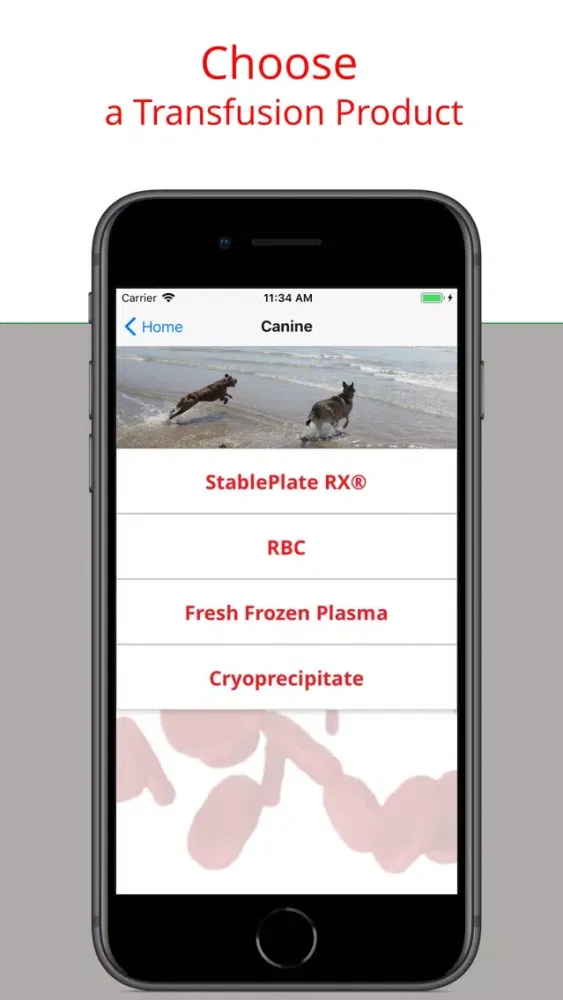 Zrzuty ekranu Veterinary Transfusion Guide