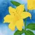 Garden Walk: Plant Grow Game