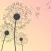Dreamer Notes