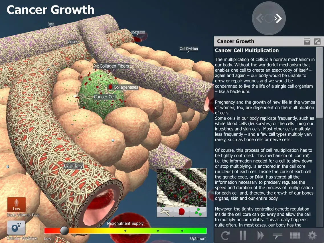 Tangkapan skrin bodyxq cancer iPad 