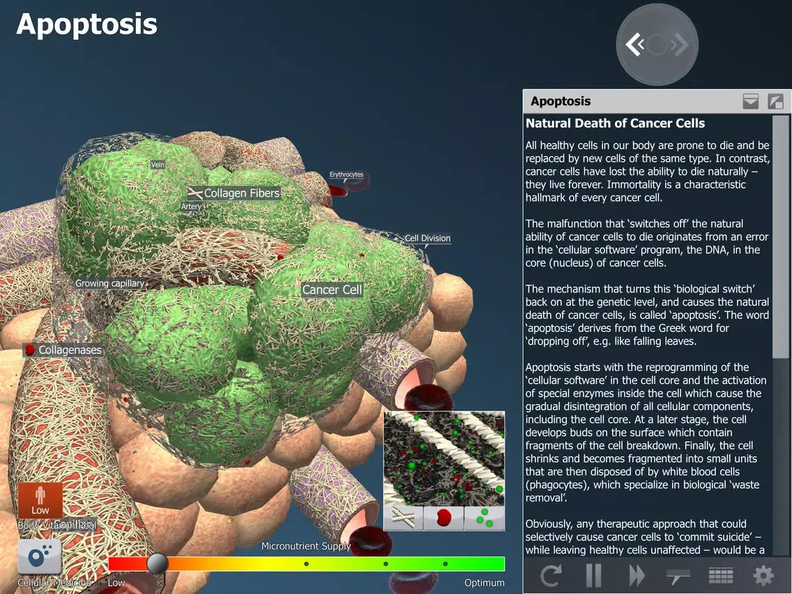 Tangkapan skrin bodyxq cancer iPad 
