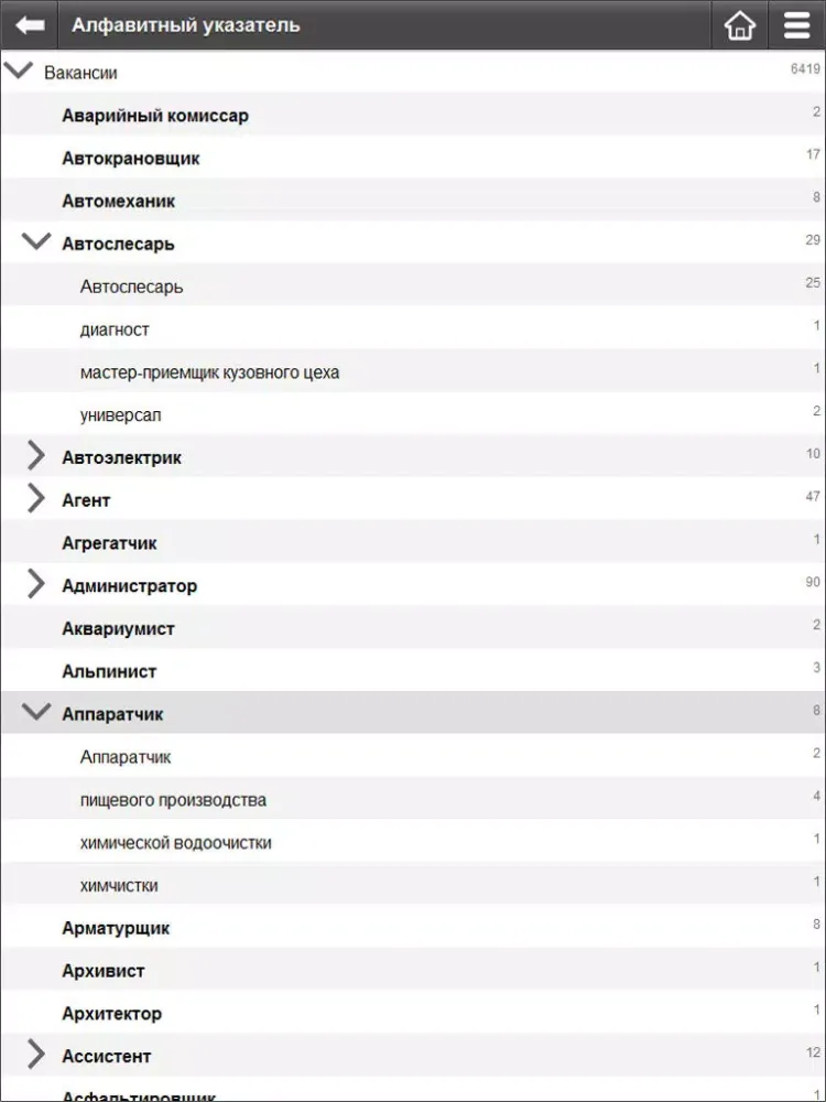 Скриншоты Журнал Работа и зарплата iPad 
