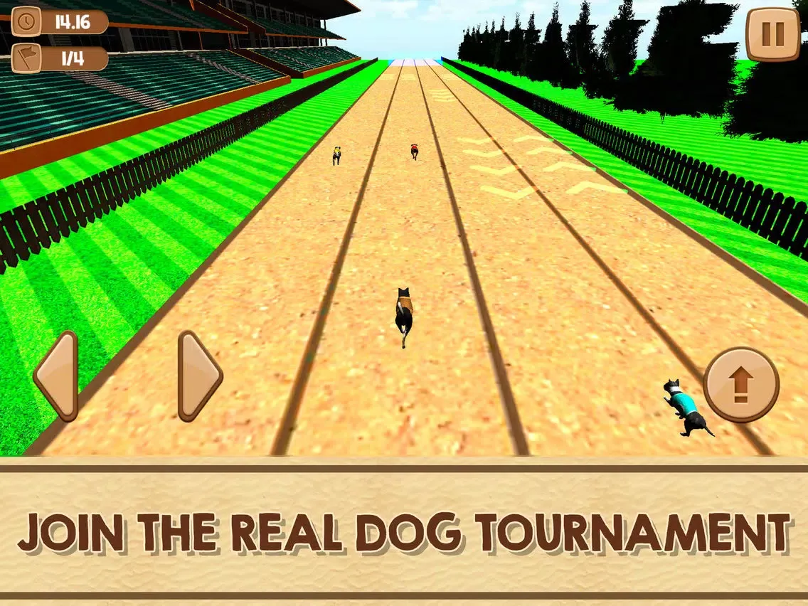 Puppy Sprint - Pet Dash iPad  স্ক্রিনশট