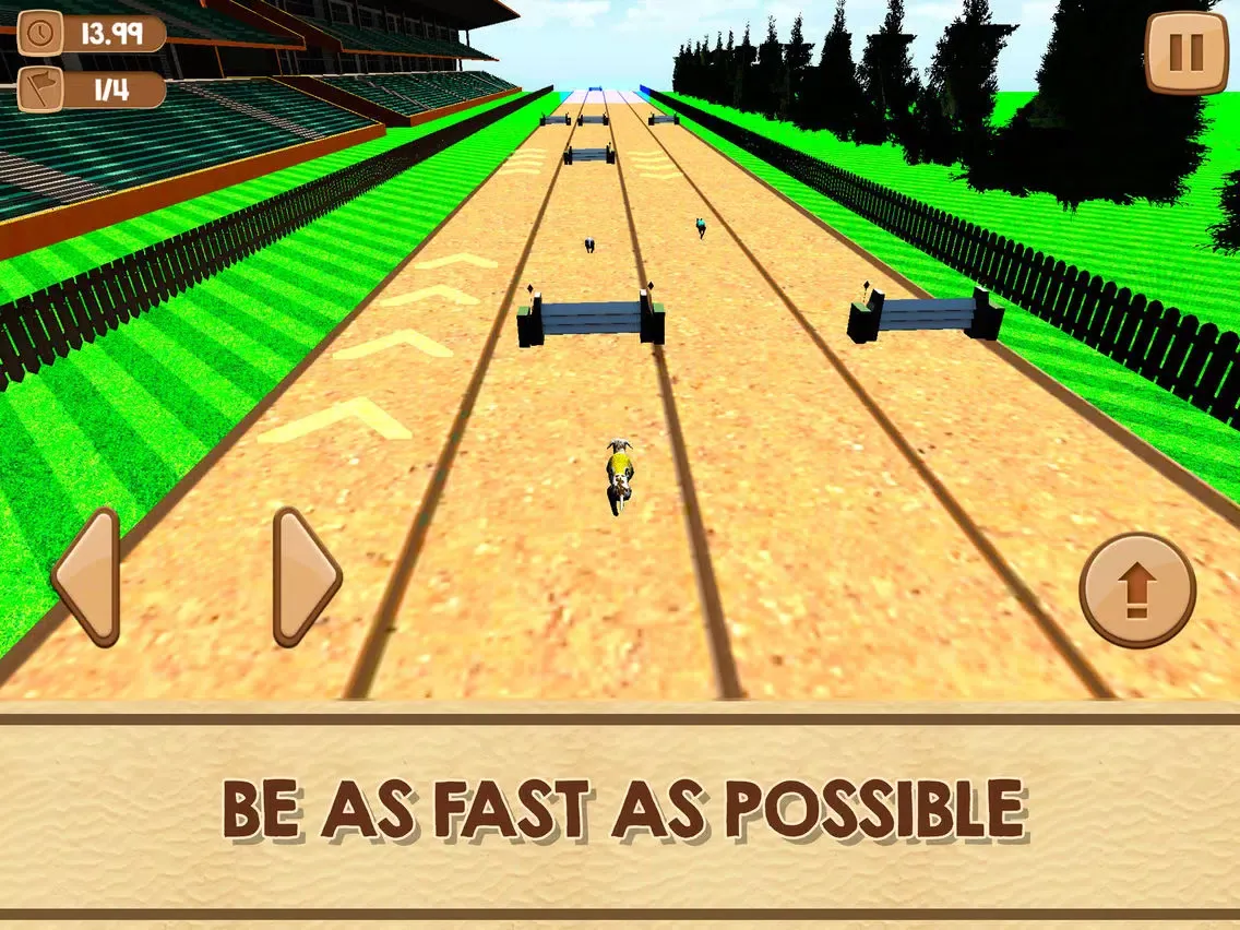 Puppy Sprint - Pet Dash iPad  স্ক্রিনশট