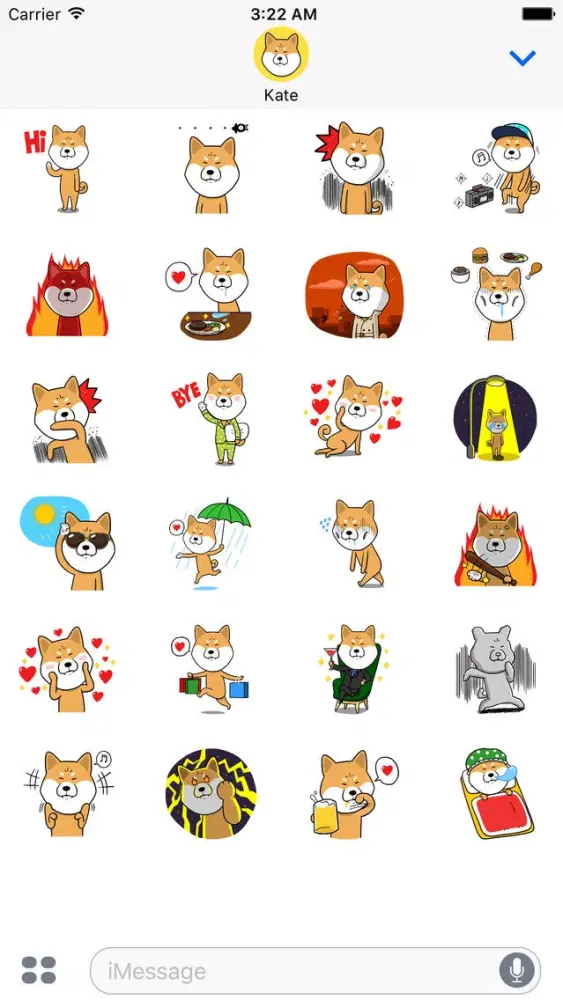 ภาพหน้าจอของ Shiba Dog 'Rui'