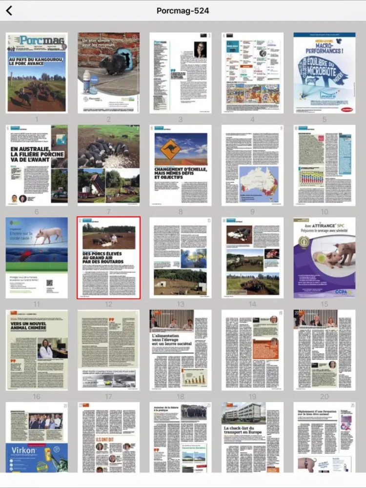 Porcmag iPad 应用截图